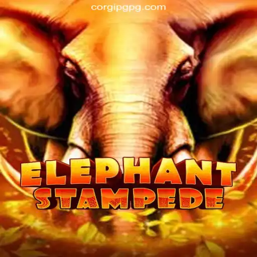 Exploring the Excitement of ElephantStampede